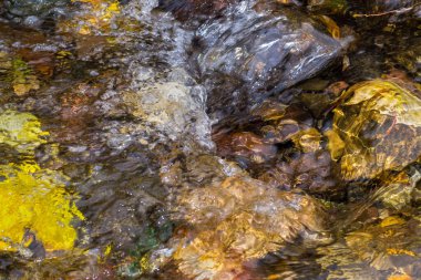 Kayaların üzerinde akan suyun altında sarı sonbahar yapraklarını görebilirsiniz..