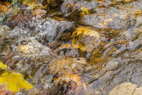 Correndo sulle rocce acqua, sott'acqua si possono vedere le foglie gialle autunnali. — Foto Stock