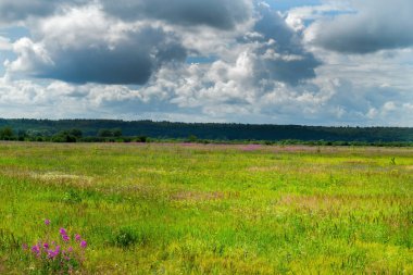 Güzel alan manzarası, çimenler ve dramatik bulutlar.