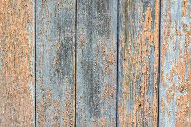 Doku, boya eski çitlerden uçuyor..