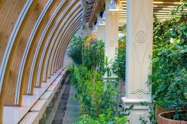 Büyük bir serada çiçekler ve bitkiler.