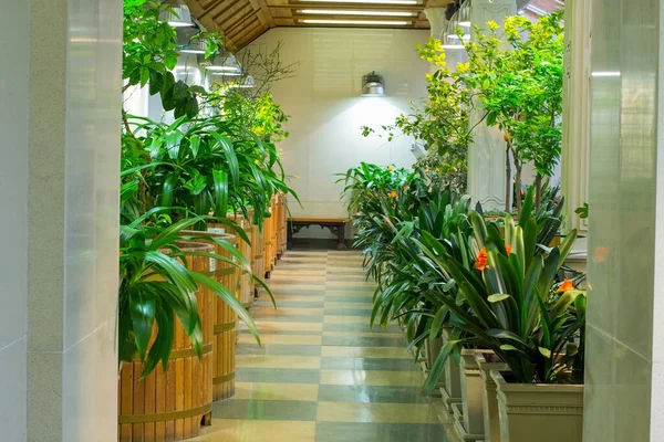 Büyük bir serada çiçekler ve bitkiler.