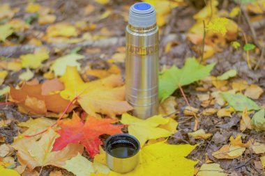 Sonbahar yapraklarıyla çevrili ılık kahve..