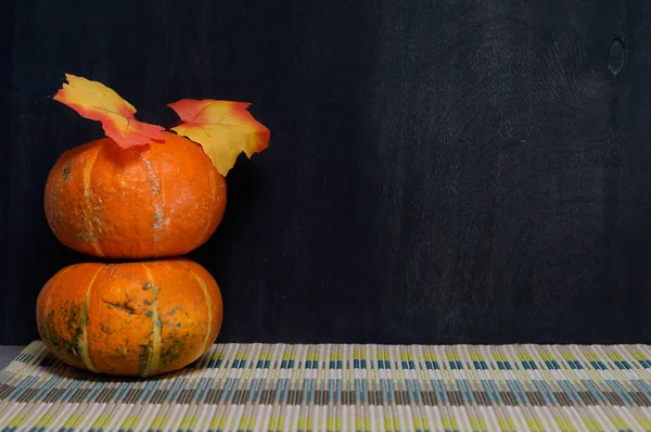 Siyah arka plan üzerine peçete üzerinde iki Turuncu kabak bileşimi