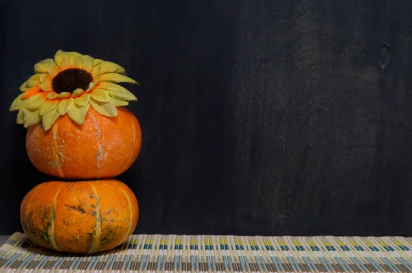 Composition Two Orange Pumpkins Flower Black Background — Stock Photo, Image