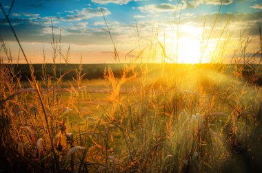 Tarlaların üzerinde gün batımı