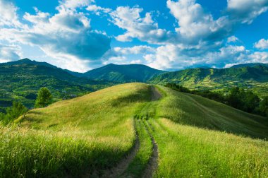 Çimenlerin üzerinde bir tepenin üzerinden dolambaçlı yol.