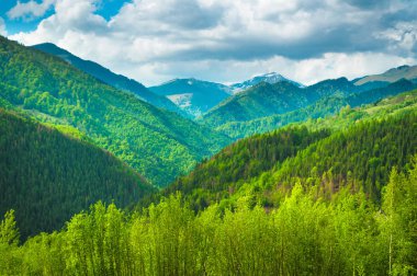 Dağlarda bir bahar peyzaj.