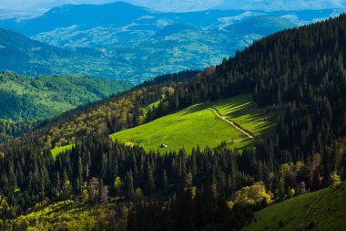 Dağlarda glade içinde kabin