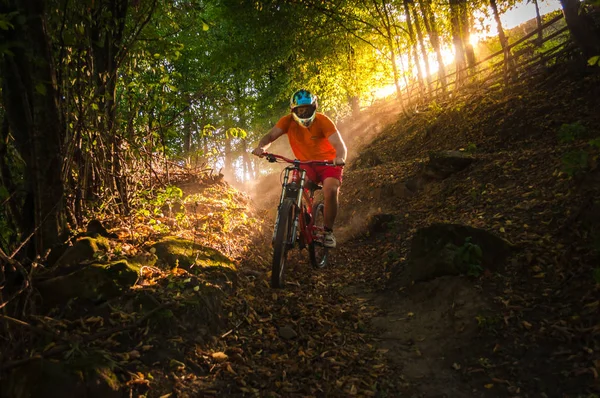 Yokuş aşağı dağ bisikletçinin gün batımında