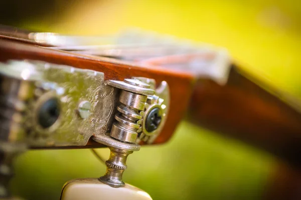 Gitar dize ayarlama mekanizması yakın çekim.