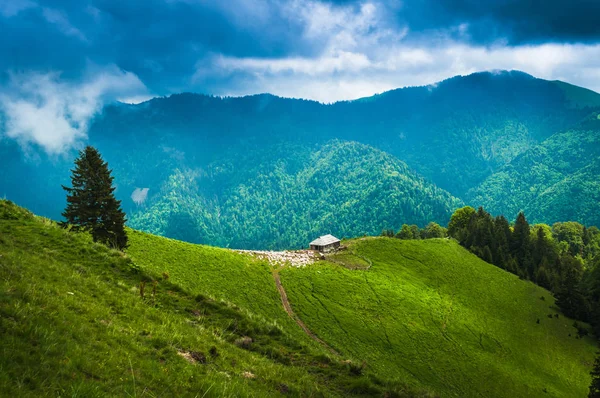 Bergerie Dans Les Montagnes — Photo