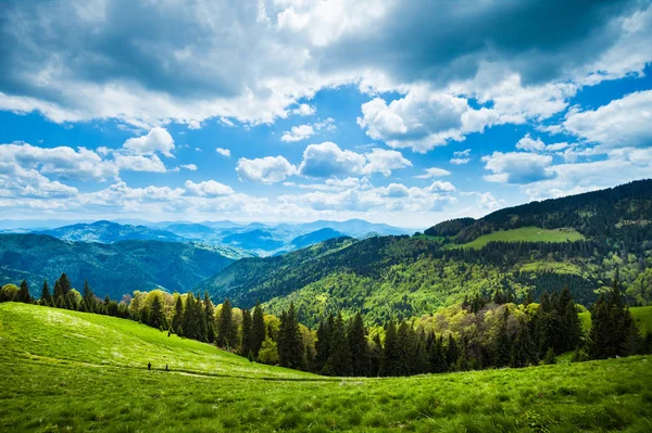 Paysage Sentier Montagne Montagnes Rodnei Roumanie — Photo
