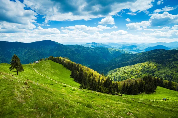 Mountain path landscape, Rodnei Mountains, Romania