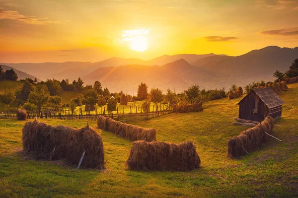 Paysage Rural Coucher Soleil Roumanie — Photo