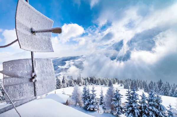 Kış geliyor, kar kaplı çam ormanı