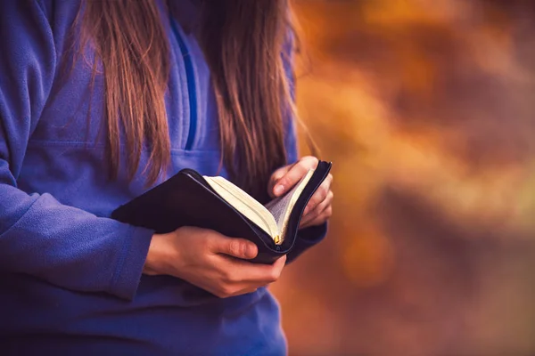 Sonbahar ormanda İncil okuma