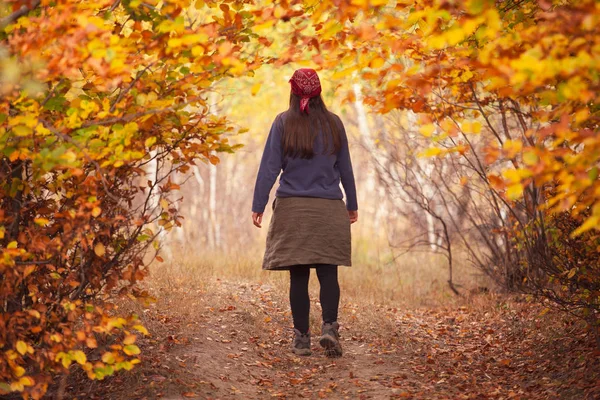 Bir sonbahar ormanda yürümek