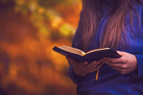 在秋天的森林里读圣经 图库图片