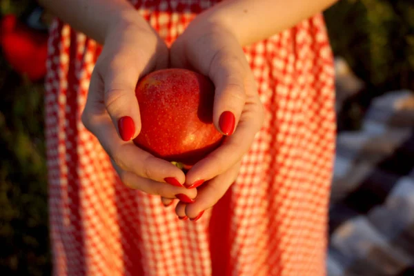 Tender Woman Hands Holding Tasty Fresh Red Apple Healthy Sweet — Stock Photo, Image