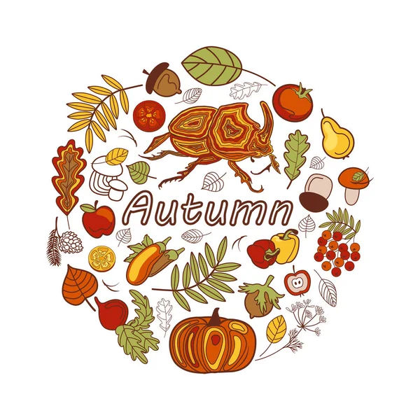 Vector Autumn Set Hand Drawn Elements Pumpkin Apples Falling Leaves — Stock Vector