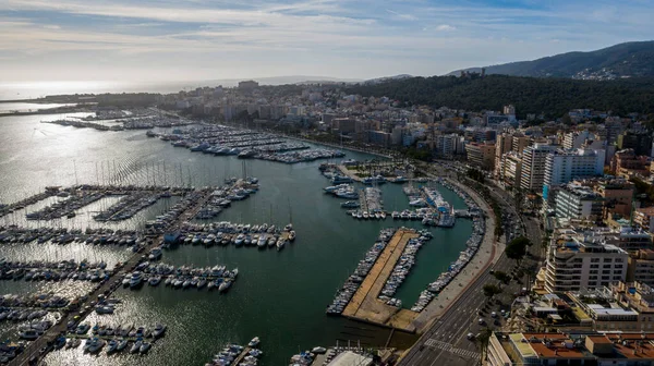 Вид Висоти Міста Пальма Мальорка Яхт Порт Іспанії — стокове фото
