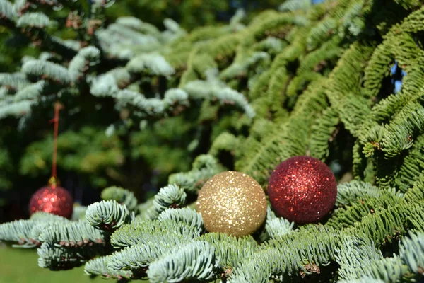 Roter Und Goldener Weihnachtsschmuck Weihnachtsbaum — Stockfoto