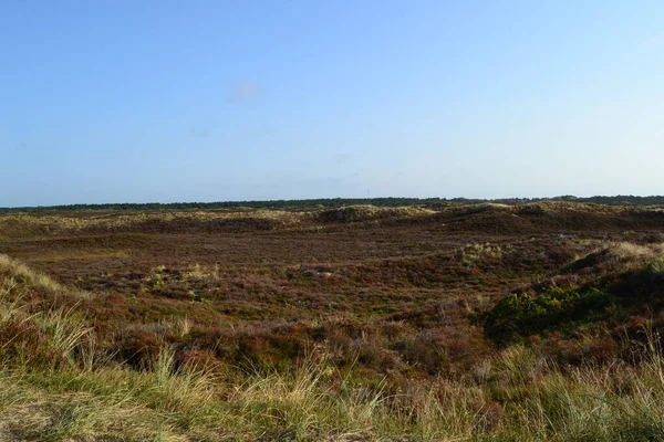 Heathland Island Romo Southern Denmark — Stock Photo, Image