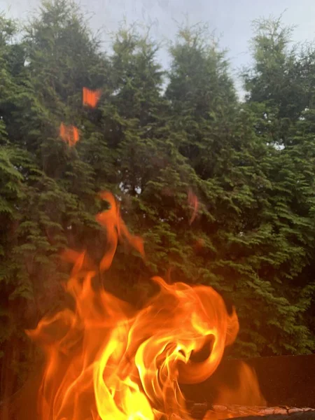 Flammes Sur Fond Des Arbres — Photo