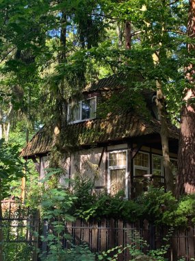 Ormandaki eski bina.