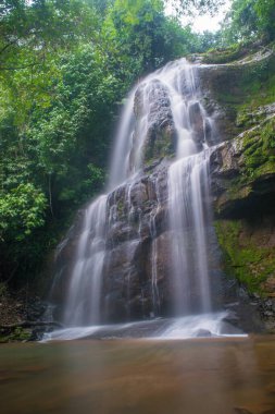 Chiriqu Panama 'da ağaçlarla dolu bir yerde güzel bir şelale var. Bu resim ve filtre ile elde edilen ipek etkisine sahiptir