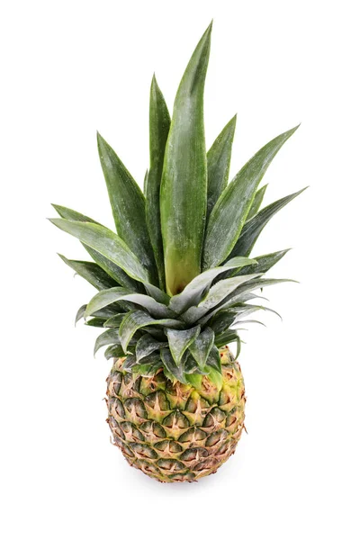 Ananas frukt — Stockfoto