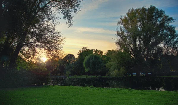 Bir gölet yanındaki Rheinaue parkta güzel gün batımı — Stok fotoğraf