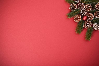 Kozalaklı ve dallı mevsimlik tebrik kartı kavramı