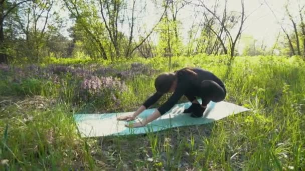 Jeune femme enceinte faisant du yoga à l'extérieur . — Video