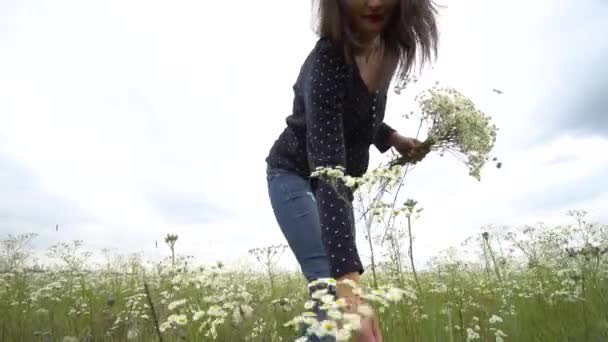 Mujer embarazada recogiendo flores de manzanilla . — Vídeos de Stock