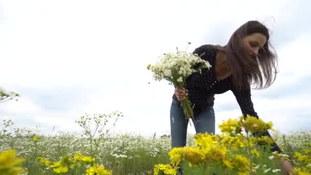 Zwangere vrouw plukken kamille bloemen. — Stockvideo