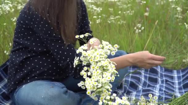 Wanita hamil yang bahagia membuat rangkaian bunga camomile . — Stok Video