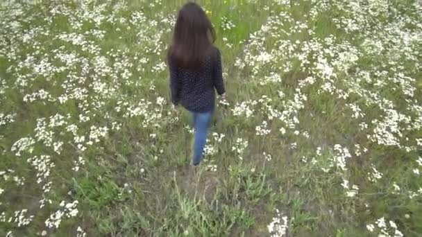 Pregnant young woman walking through chamomile field. — Stock Video