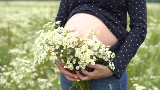 Беременная женщина с букетом ромашки . — стоковое видео