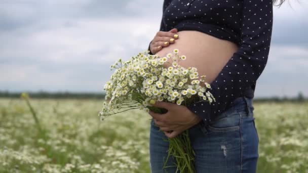 Femme enceinte avec bouquet de fleurs de camomille . — Video