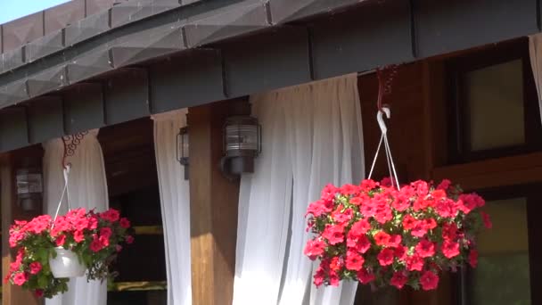 Facciata di un ristorante. Balcone di bella casa. Fiori sul balcone . — Video Stock