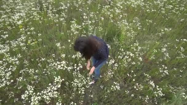 Mujer joven embarazada caminando por el campo de manzanilla . — Vídeos de Stock