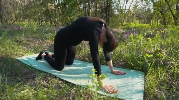 Unga gravid kvinna gör yoga utanför. — Stockvideo