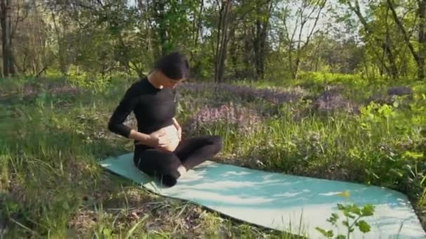 Zwangere vrouw streelde haar buik van de baby zit op gras — Stockvideo