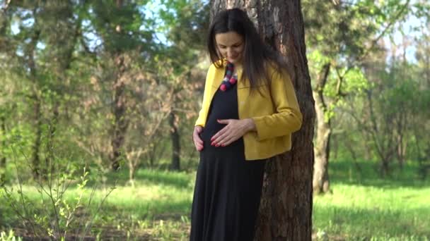 Kobieta dotyka jej brzuch w ciąży — Wideo stockowe