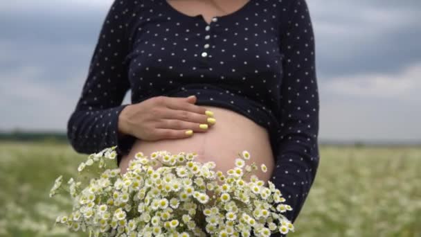 Femme enceinte avec bouquet de fleurs de camomille . — Video