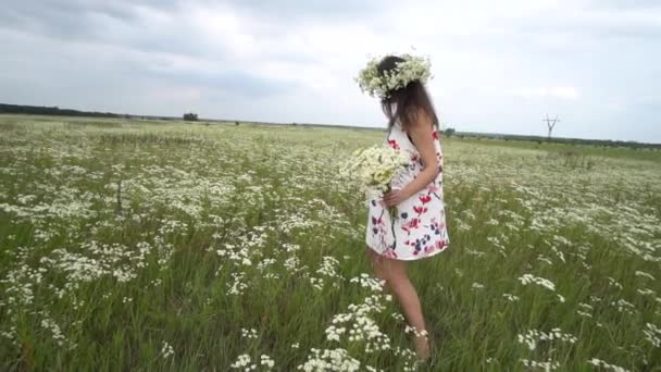 Těhotná žena trhá heřmánek květiny. — Stock video