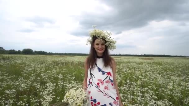 Mulher grávida colhendo flores de camomila . — Vídeo de Stock