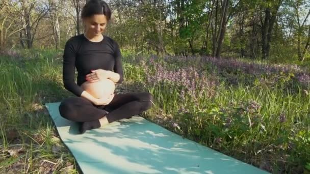Femme enceinte caressant son ventre de bébé assis sur l'herbe — Video